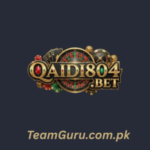 Qaidi804 Game