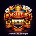 804Slot Game