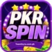 PKRSPIN Game